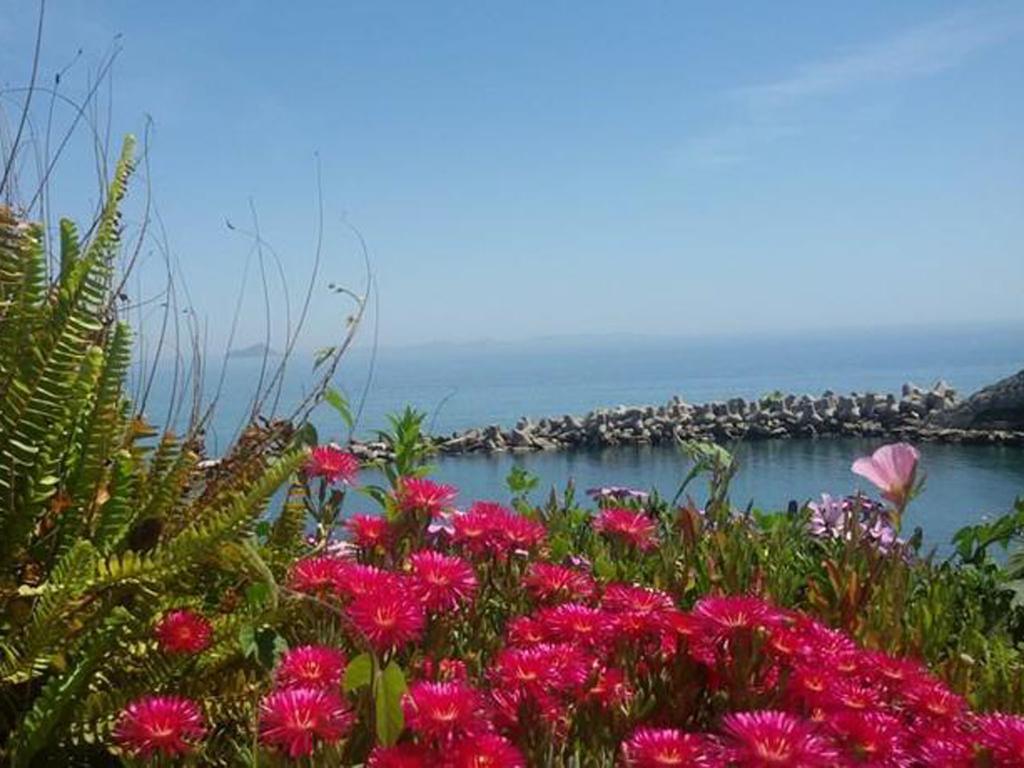 Aperanto Galazio Otel Ágios Kírykos Dış mekan fotoğraf